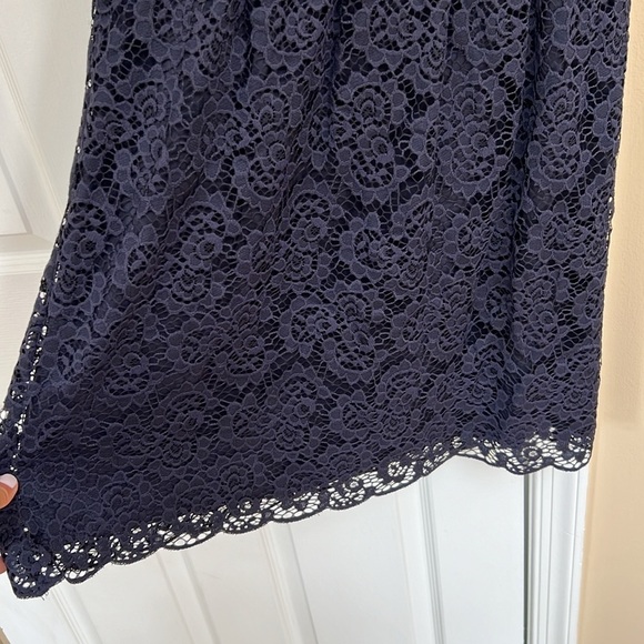 Madewell Navy Blue Magnolia Lace A-line Dress - Picture 5 of 7